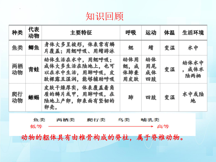 2.2.2+脊椎动物身体背部有脊柱ppt课件（第二课时）-2024新济南版七年级上册《生物》.pptx_第2页