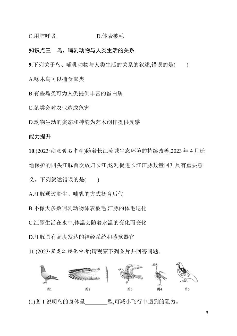 2.2.3鸟和哺乳动物 同步练习（含答案）人教版（2024）生物七年级上册.docx_第3页