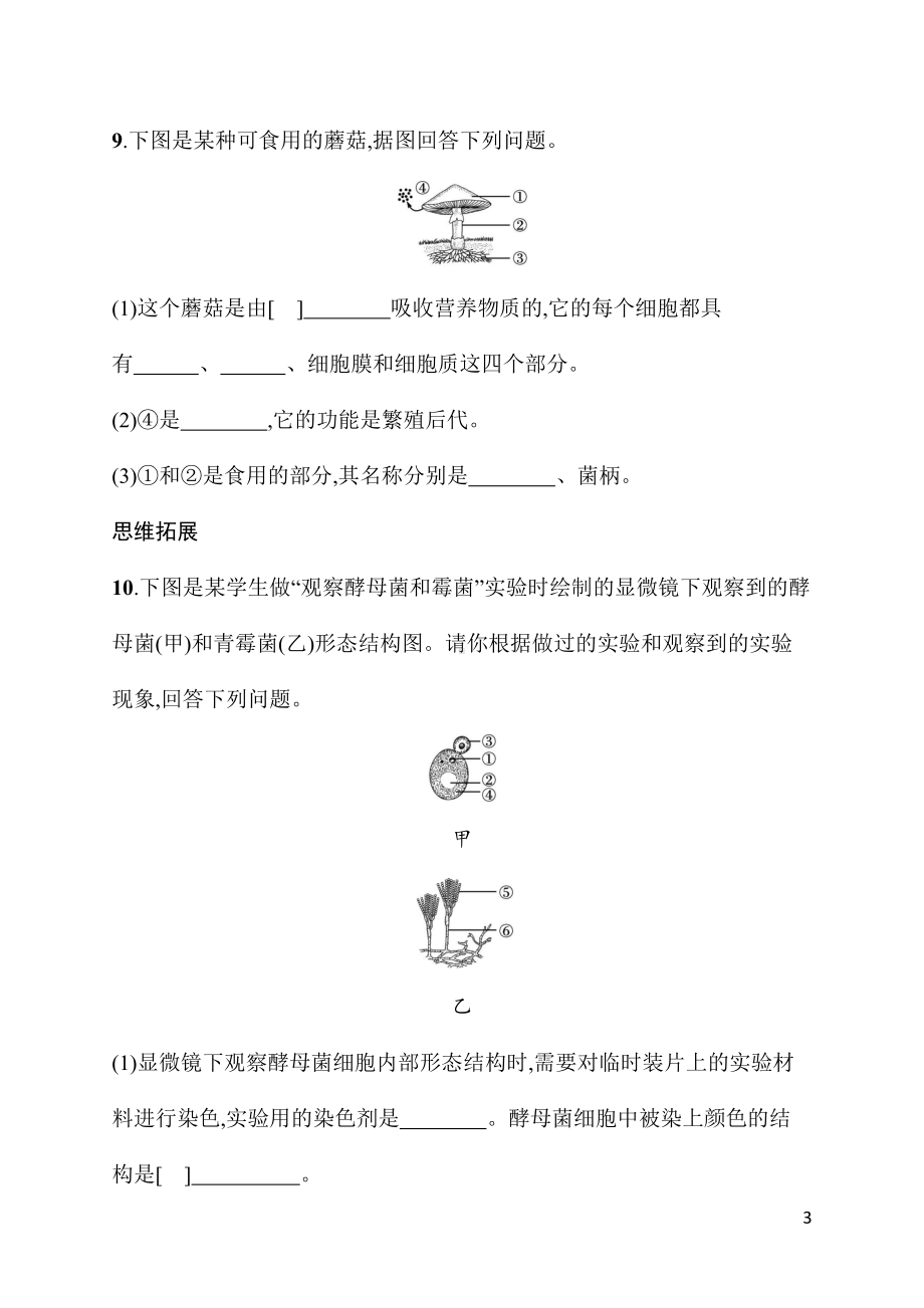 2.3.3真菌 同步练习（含答案）人教版（2024）生物七年级上册.docx_第3页