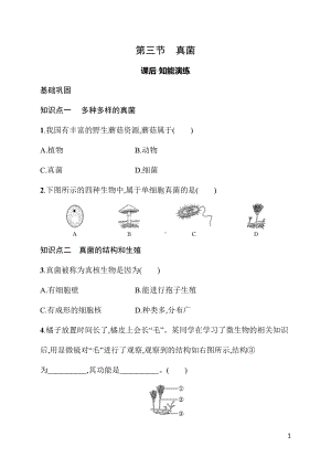 2.3.3真菌 同步练习（含答案）人教版（2024）生物七年级上册.docx