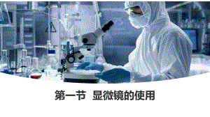 1.1.1+显微镜的使用+ppt课件-2024新冀少版七年级上册《生物》.pptx