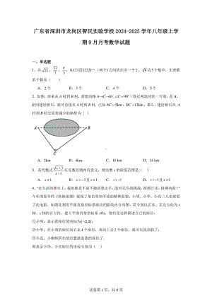 广东省深圳市龙岗区智民实验学校2024-2025学年八年级上学期9月月考数学试题.pdf