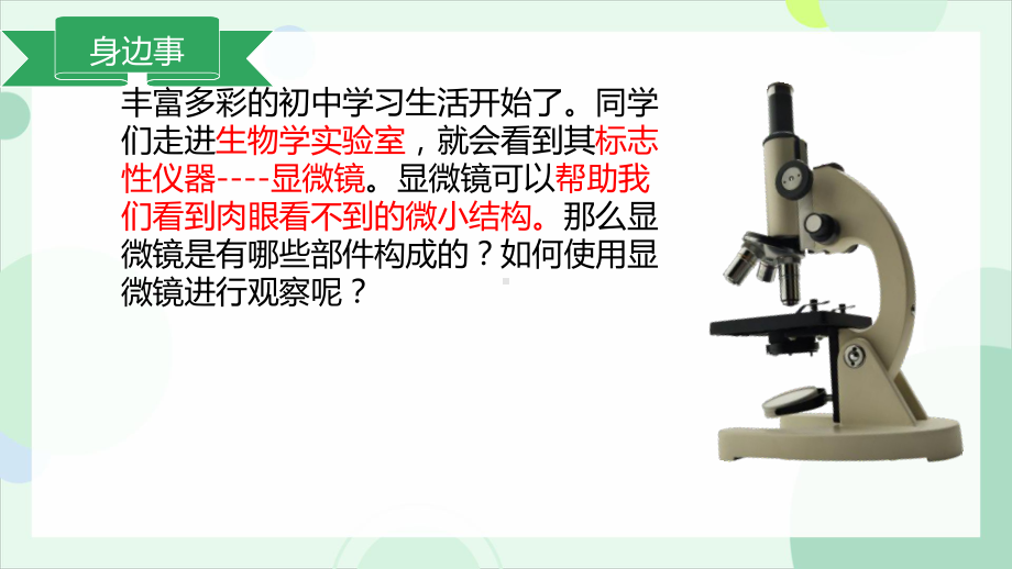 1.1.1显微镜的使用ppt课件-2024新冀少版七年级上册《生物》.pptx_第3页