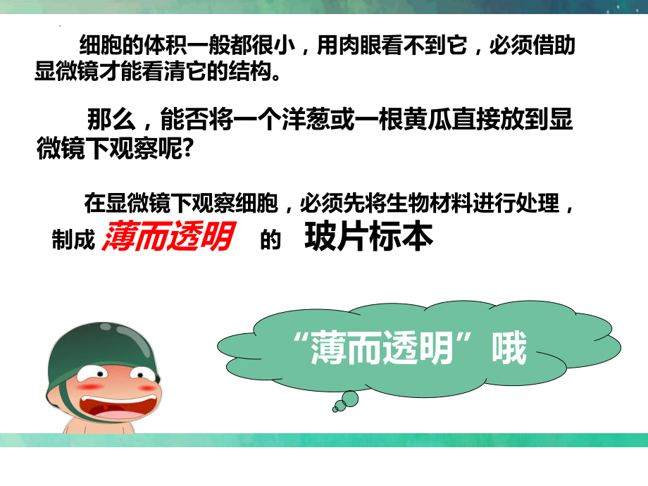 1.1.2细胞的形态 ppt课件-2024新冀少版七年级上册《生物》.pptx_第3页