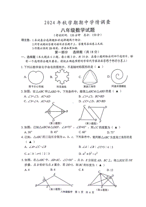 泰州市姜堰区2024-2025八年级上学期期中数学试卷及答案.pdf