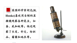 1.1.1 显微镜的使用ppt课件-2024新冀少版七年级上册《生物》.pptx