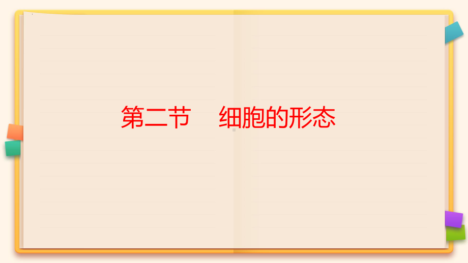 1.1.2细胞的形态ppt课件-2024新冀少版七年级上册《生物》.pptx_第1页