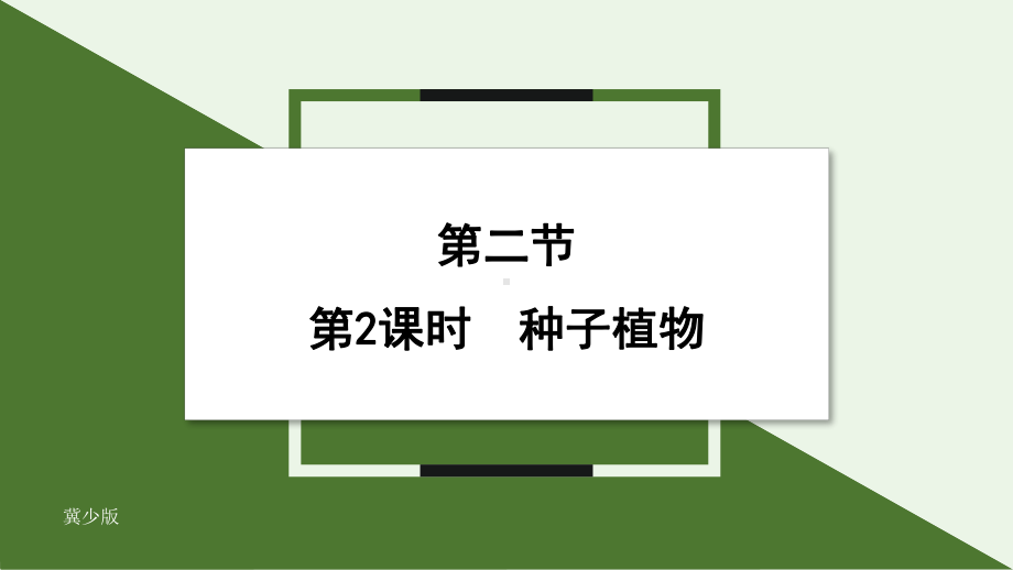 2.1.2 课时2 种子植物ppt课件 -2024新冀少版七年级上册《生物》.pptx_第1页