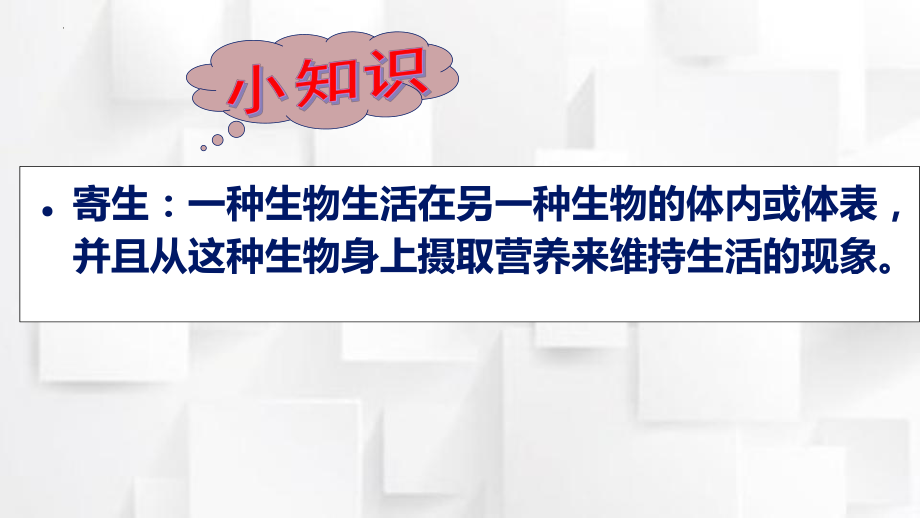 2.1.3无脊椎动物 一、线虫动物和环节动物ppt课件-2024新冀少版七年级上册《生物》.pptx_第2页