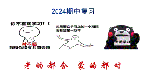 （2024新部编）统编版七年级上册《道德与法治》期中复习 ppt课件.pptx