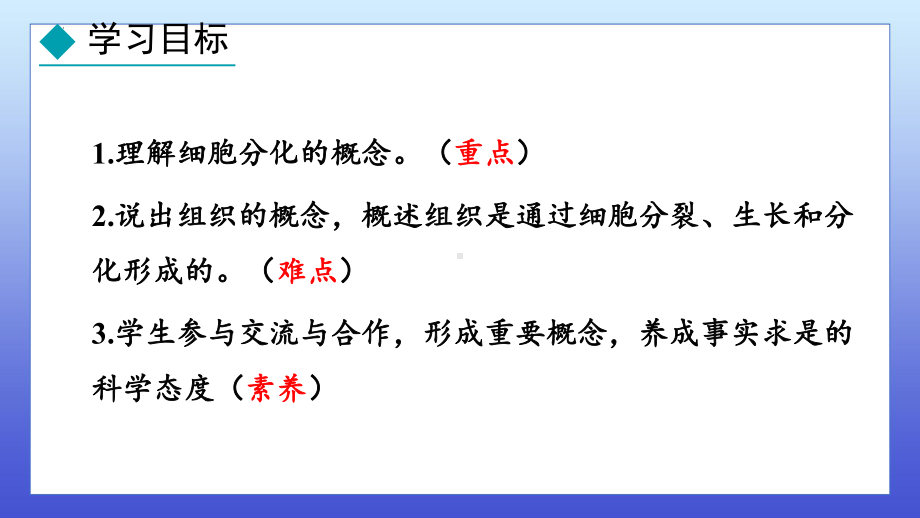 1.2.2 组织的形成ppt课件-2024新冀少版七年级上册《生物》.pptx_第2页