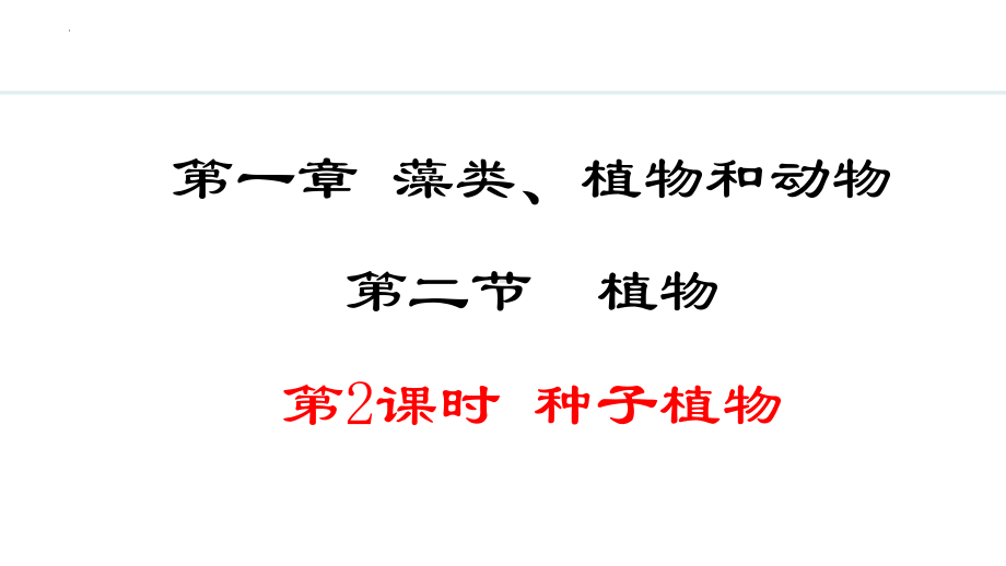 2.1.2第2课时 种子植物 ppt课件-2024新冀少版七年级上册《生物》.pptx_第1页