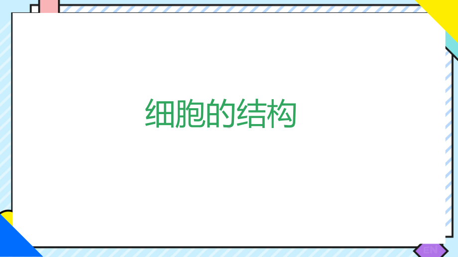 1.1.3细胞的结构ppt课件-2024新冀少版七年级上册《生物》.pptx_第1页