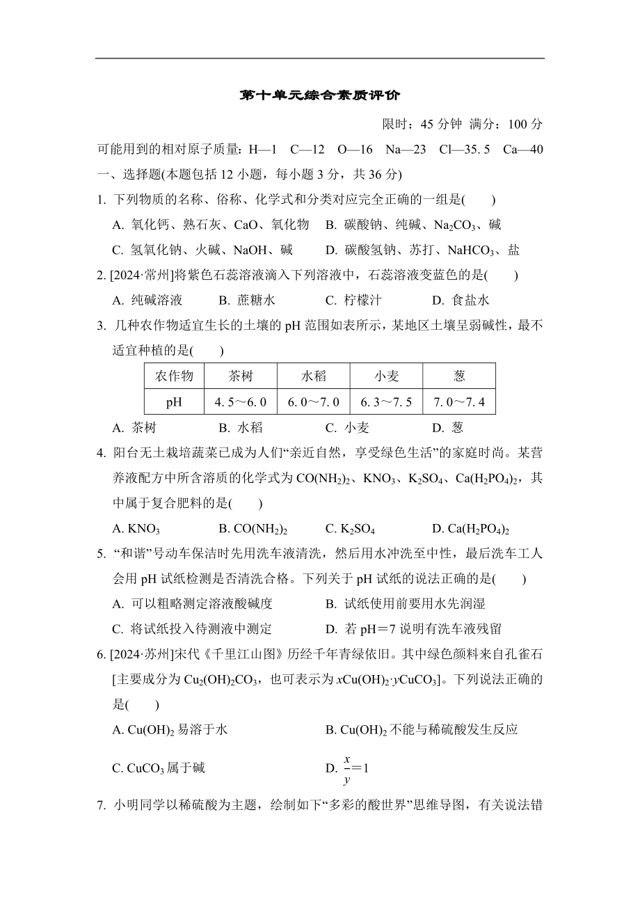 第十单元综合素质评价 2024-2025学年人教版化学九年级下册.docx_第1页