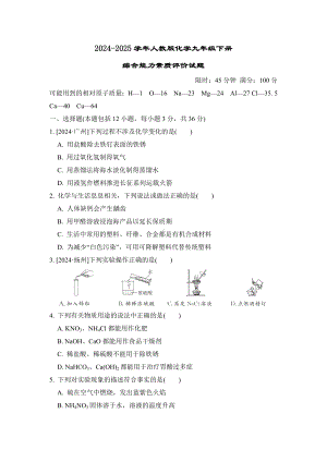 综合能力素质评价试题 2024-2025学年人教版化学九年级下册.docx