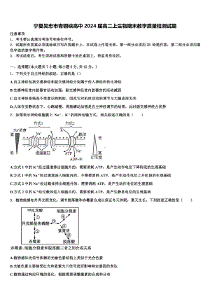 宁夏吴忠市青铜峡高中2024届高二上生物期末教学质量检测试题含解析.doc