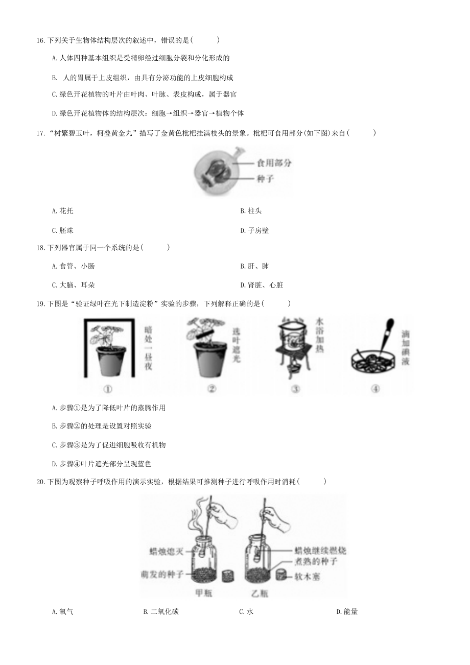 2024新北师大版七年级上册《生物》期末模拟生物练习卷(三).docx_第3页