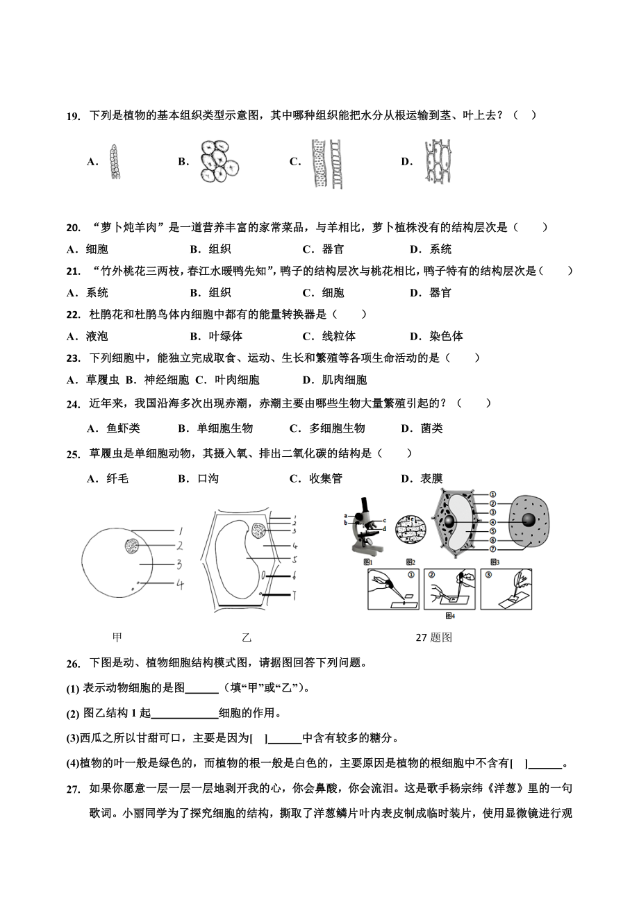 2024新人教版七年级上册《生物》第一单元生物与细胞单元总结模拟试卷.docx_第3页