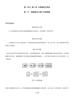 2024新人教版七年级上册《生物》第一单元 第三章 从细胞到生物体作业设计（含答案）.docx