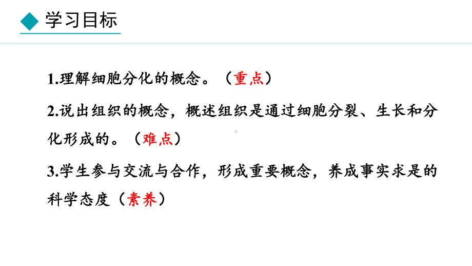 1.2.2组织的形成 ppt课件(共19张PPT)-2024新冀少版七年级上册《生物》.pptx_第2页