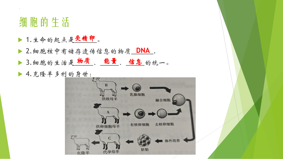 2024新人教版七年级上册《生物》期中复习ppt课件.pptx_第3页