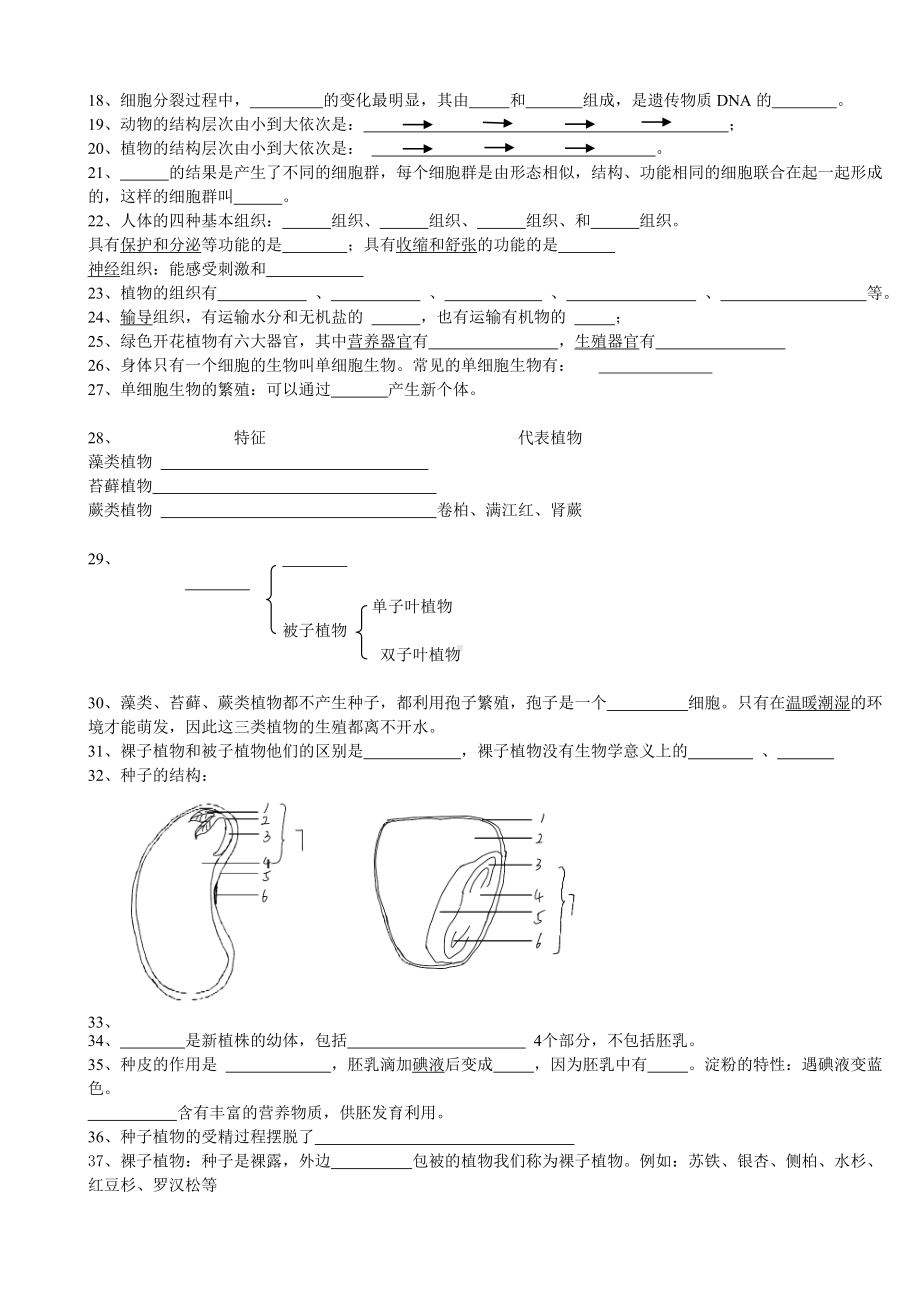 2024新人教版七年级上册《生物》知识点 (1).docx_第2页