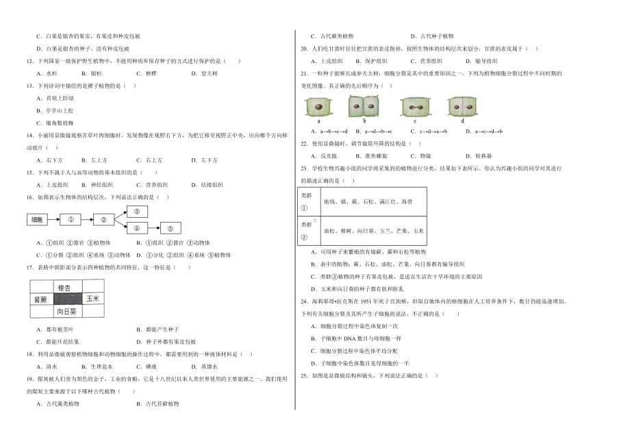 2024新人教版七年级上册《生物》期中模拟生物试卷.docx_第2页