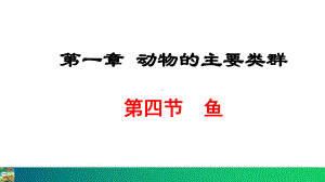 5.1.4 鱼 ppt课件（共26张PPT）-2024新冀少版八年级上册《生物》.pptx