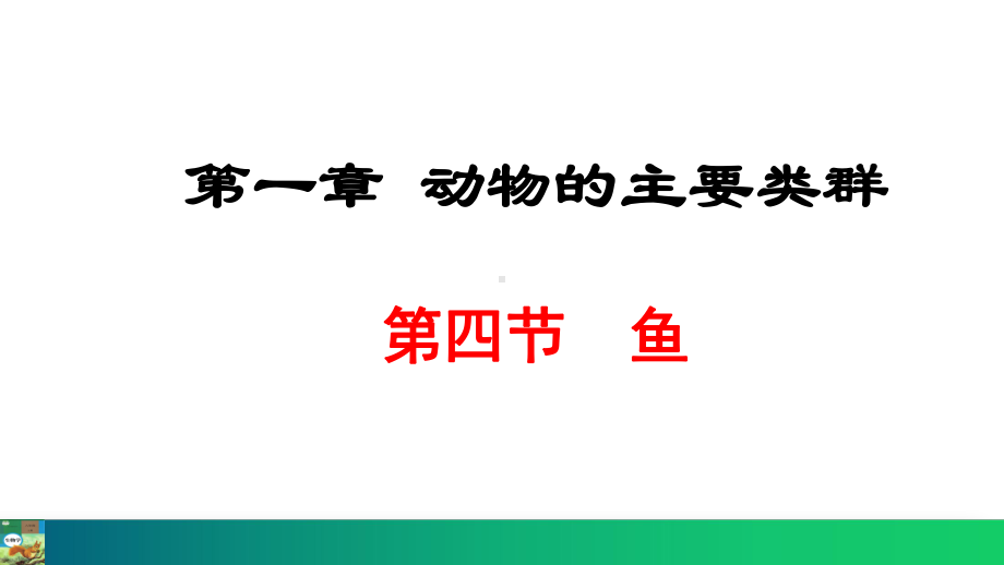 5.1.4 鱼 ppt课件（共26张PPT）-2024新冀少版八年级上册《生物》.pptx_第1页