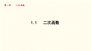 1.1 二次函数课件 2024-2025学年湘教版数学九年级下册.pptx