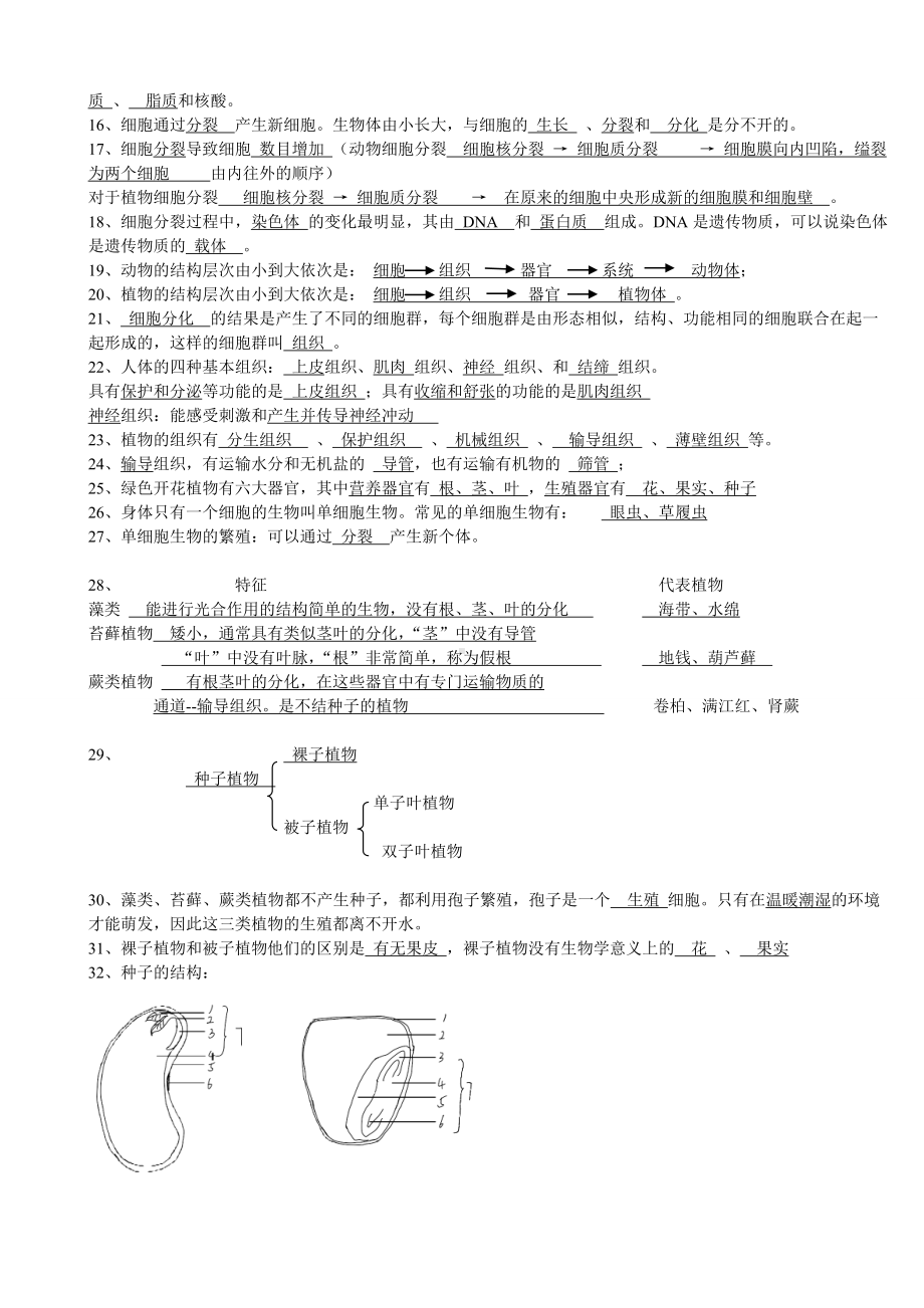 2024新人教版七年级上册《生物》知识点.docx_第2页