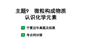 2024宁夏中考化学二轮重点专题突破 主题9 微粒构成物质 认识化学元素（课件）.pptx