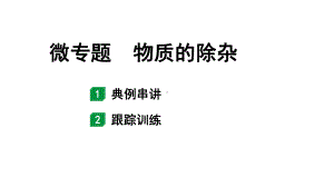 2024海南中考化学二轮重点专题突破 微专题 物质的除杂（课件）.ppt