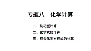 2024湖南中考化学二轮专题复习 专题八 化学计算（课件）.pptx