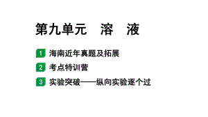 2024海南中考化学一轮复习 中考考点研究 第九单元溶液（课件）.pptx