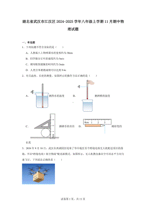 湖北省武汉市江汉区2024-2025学年八年级上学期11月期中物理试题.docx