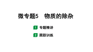 2024福建中考化学一轮复习 微专题5物质的除杂（课件）.pptx