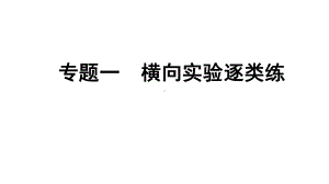 2024辽宁中考化学二轮重点专题研究 专题一横向实验逐类练（课件）.pptx