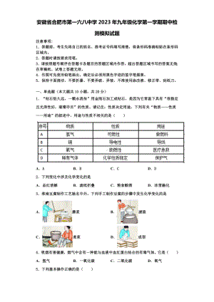 安徽省合肥市第一六八中学2023年九年级化学第一学期期中检测模拟试题含解析.doc