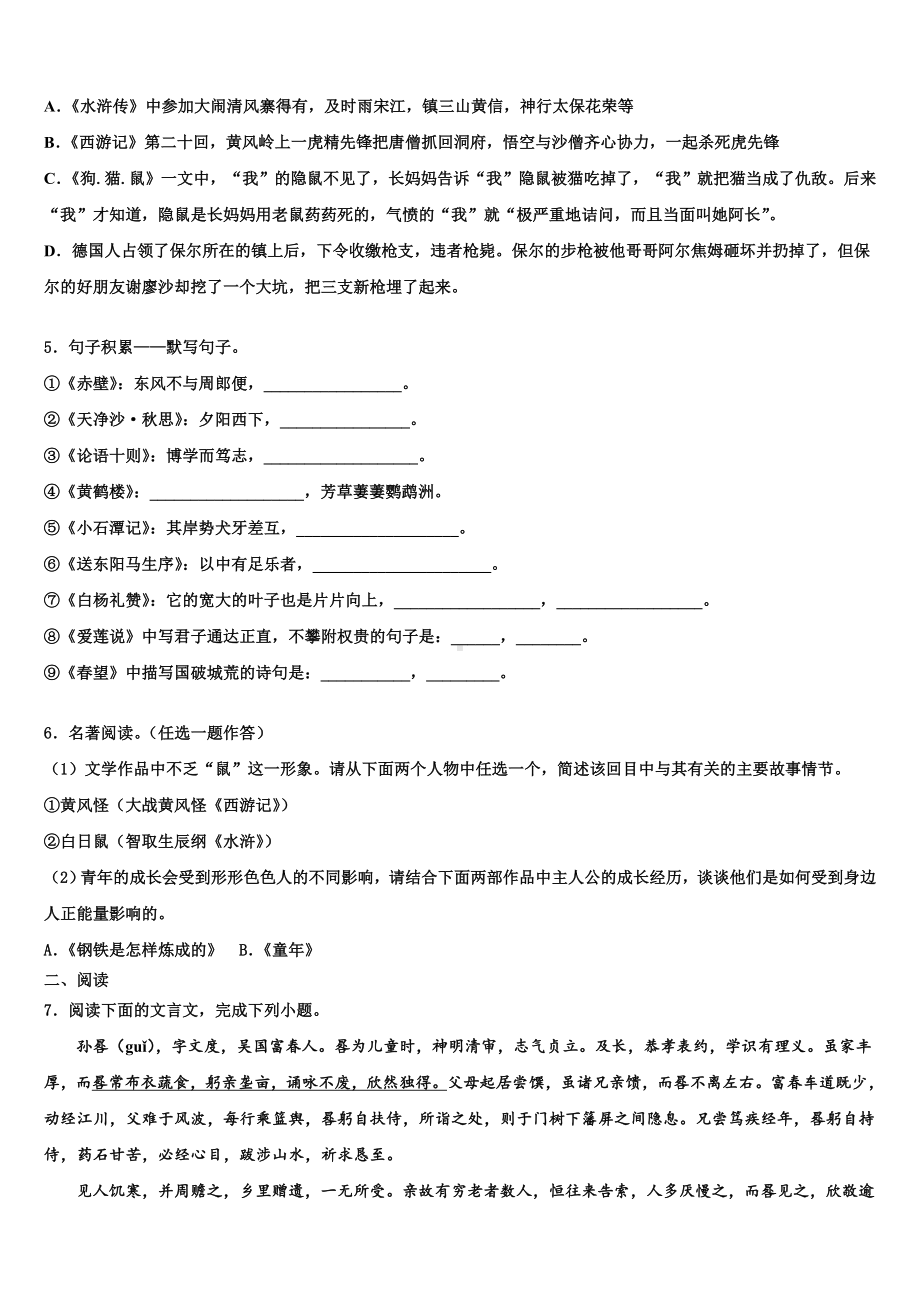 2024届陕西省西安市第九十八中学中考语文模拟试题含解析.doc_第2页