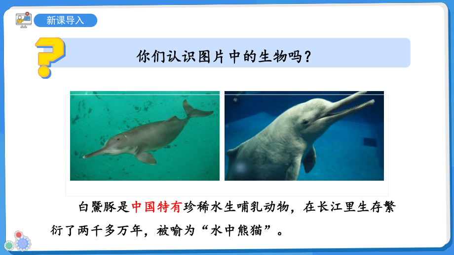 6.3生物资源的保护课件-苏教版生物七年级上册（2024版新教材）.pptx_第3页