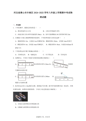 河北省唐山市丰南区2024-2025学年八年级上学期期中考试物理试题.docx