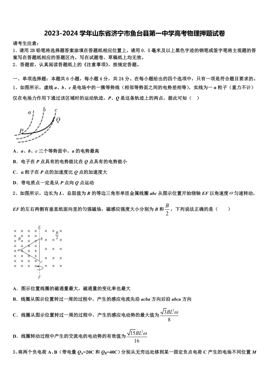 2023-2024学年山东省济宁市鱼台县第一中学高考物理押题试卷含解析.doc_第1页