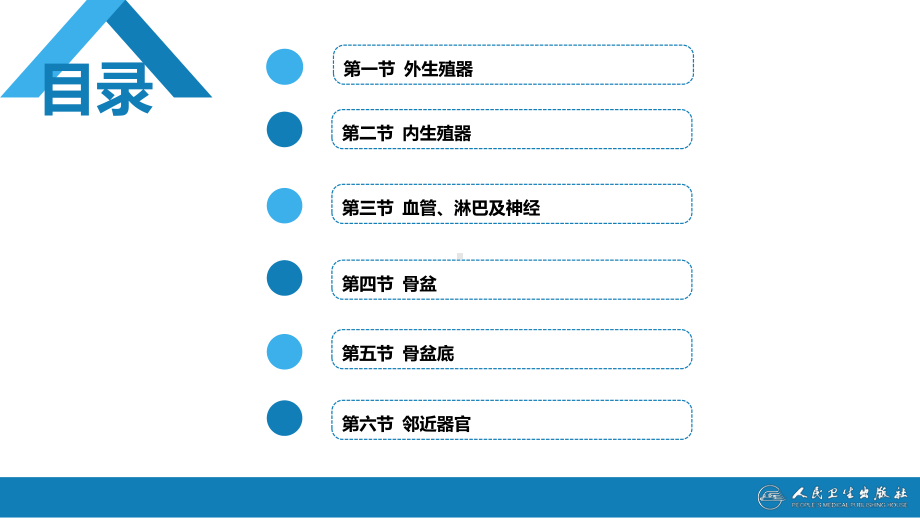 第二章女性生殖系统解剖 ppt课件-人卫版《妇产科学》.ppt_第3页