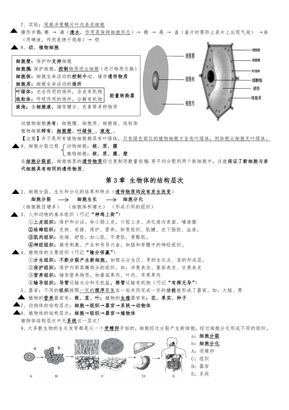 2024新北师大版七年级上册《生物》复习提纲汇总.docx_第3页