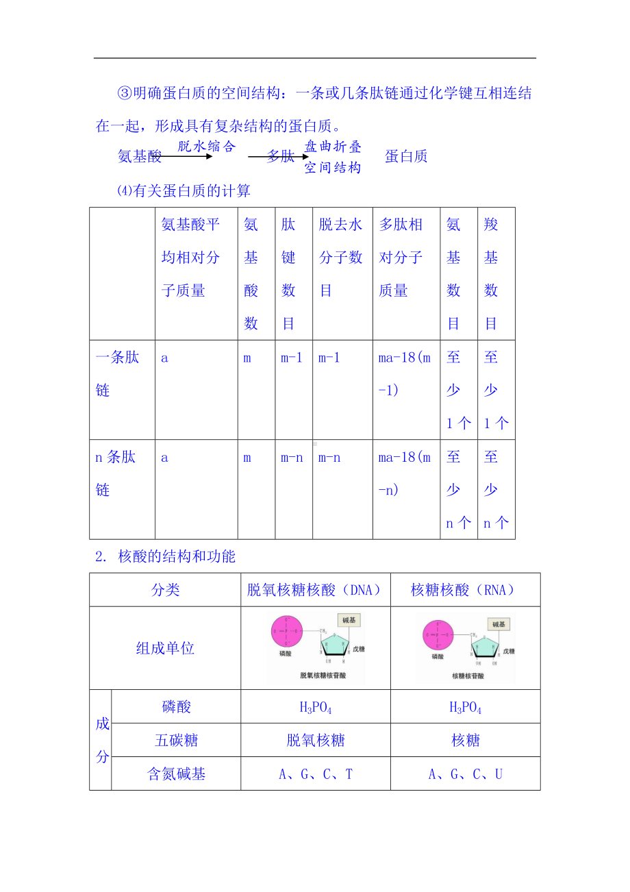 2024年高考生物总复习基础知识复习提纲（完整版）.doc_第2页