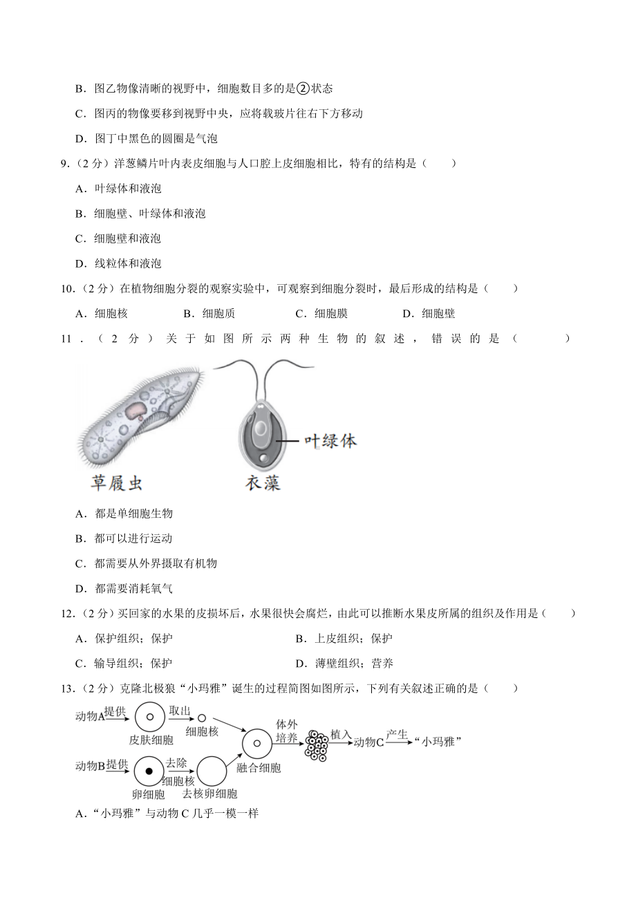 2024新北师大版七年级上册《生物》期末总复习测试题.docx_第3页