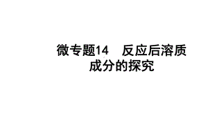 2024四川中考化学二轮复习 微专题14 反应后溶质成分的探究（课件）.pptx