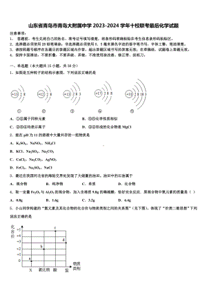 山东省青岛市青岛大附属中学2023-2024学年十校联考最后化学试题含解析.doc