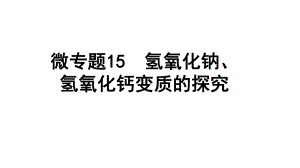 2024四川中考化学一轮复习 微专题15 氢氧化钠、氢氧化钙变质的探究（课件）.pptx